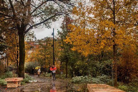Rainy Weather Albania