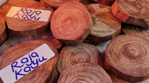 Raja Kayu