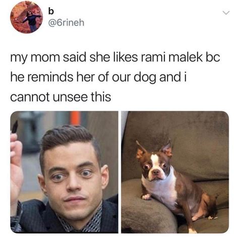 Rami Malek Dog Meme