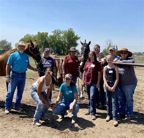 Ranch Volunteer Work
