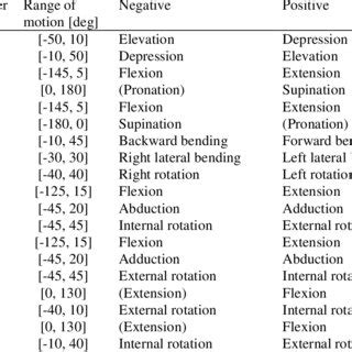 Maximizing Your Body's Capabilities: Unlocking the Magic of Range of Motion - A Comprehensive Definition and Guide.