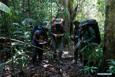 Ranger Nomaden Indonesia