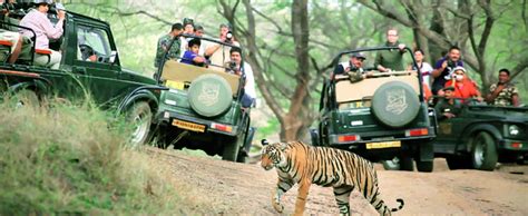Ranthambore Safari Permit