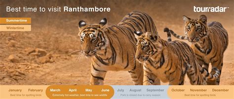 Ranthambore Weather Seasons