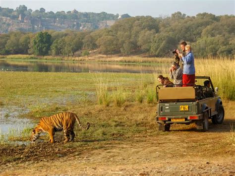 Ranthambore crowds