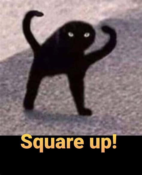 Rare Cursed Cat Images