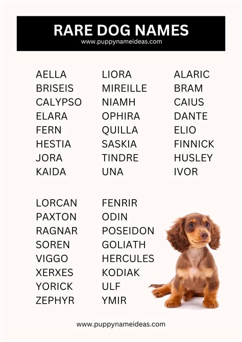 Rare Dog Names