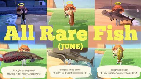 Rarest Fish On Animal Crossing