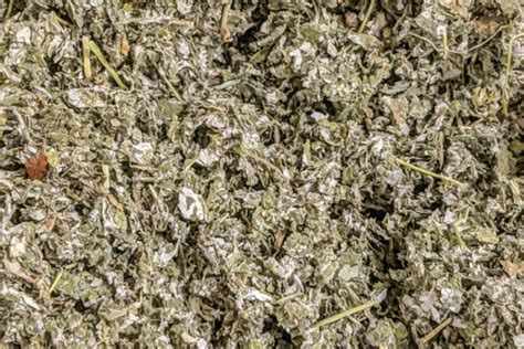 Raspberry Leaves Smoking