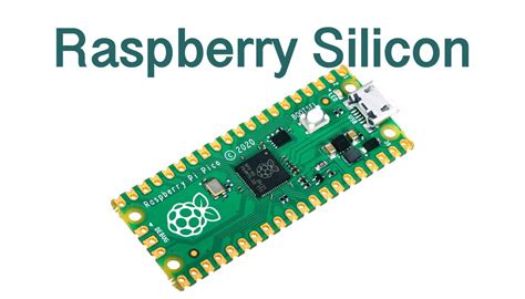 Raspberry Pi Silicon