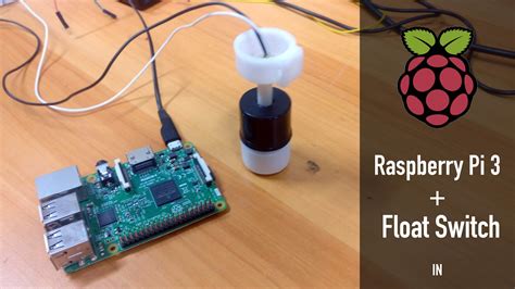 Raspberry Pi float