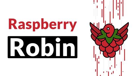 Raspberry Robin