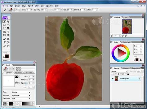 Raster Graphics Software