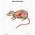 Rat Internal Anatomy