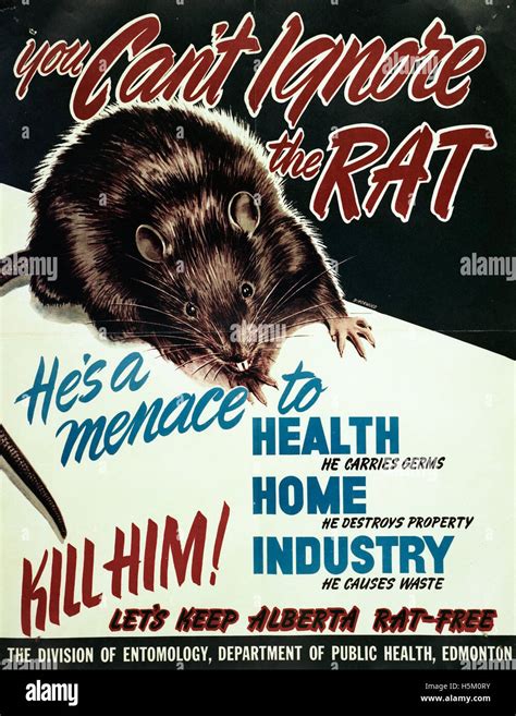 Rat Control: Protect Your Health & Home.
