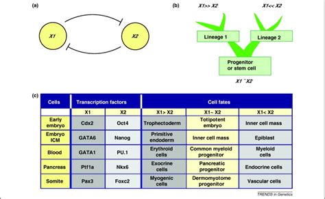 Rational Cell