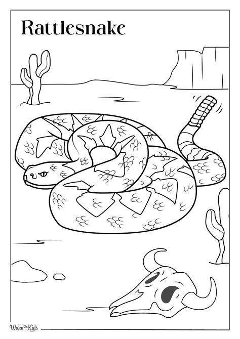 Rattlesnake Color Page