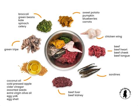 Give Your Best Friend Love in Every Bite: The Ultimate Guide to Nourishing Your Pet with a Raw Food Diet