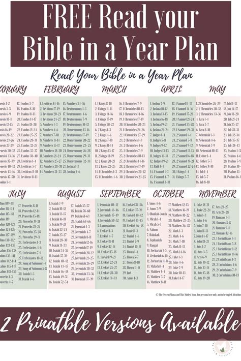Read Bible In A Year Printable