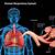 Real Human Respiratory System