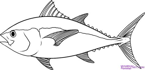 Real Fish Coloring Pages