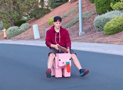 Real Life Minecraft Pig