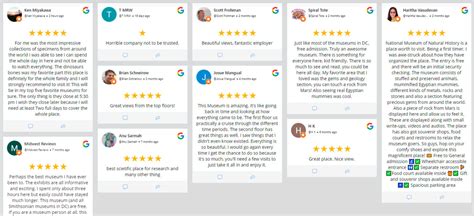 Real User Reviews and Feedback