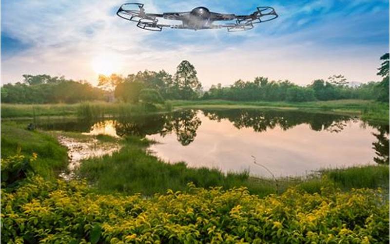 Real-Life Examples Of Drones In Environmental Research