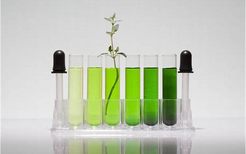 Real-Life Examples Of Green Chemistry In Action