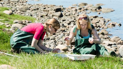 Real-World Experiences