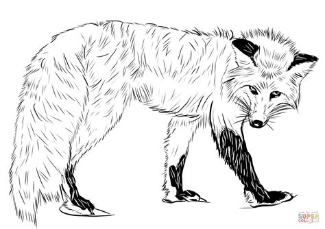 Realistic Printable Fox Coloring Pages
