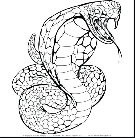 Realistic Printable Snake Coloring Pages
