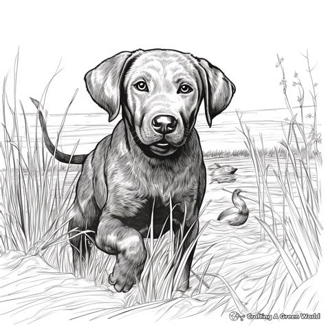 Realistic Black Lab Coloring Pages for Advanced Artists