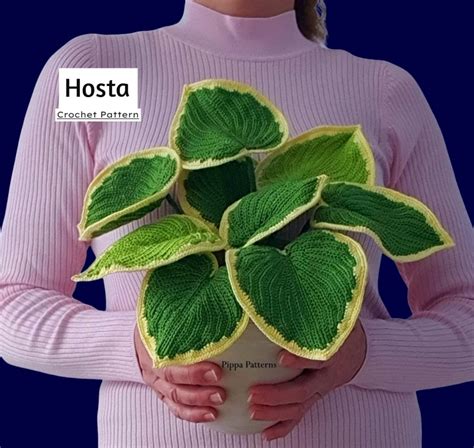 Realistic Crochet Plant