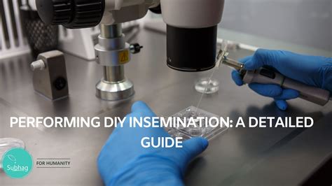 Realistic Expectations for DIY Insemination