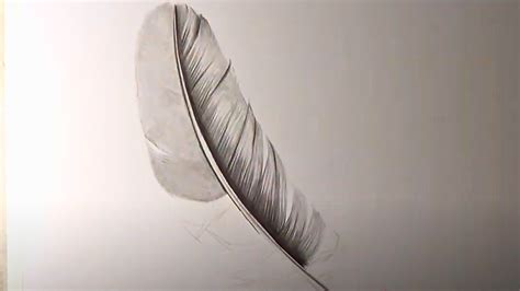 Realistic Feather Shading