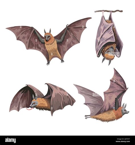 A realistic fruit bat illustration showcasing the bat's intricate anatomy and delicate wings.