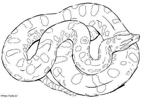 Realistic Green Anaconda Coloring Pages