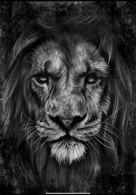 Realistic Lion Drawing