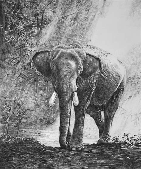 Realistic Pencil Elephant Drawing