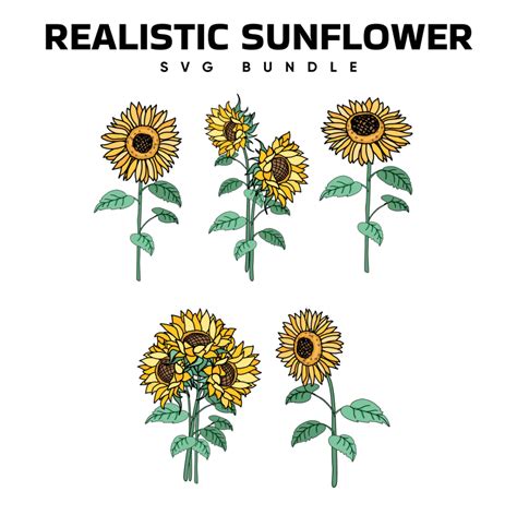 Beaming with Beauty: Discover the Realistic Sunflower SVG Ideal for your Craft Projects!