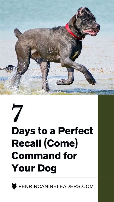 Recall The Come Command