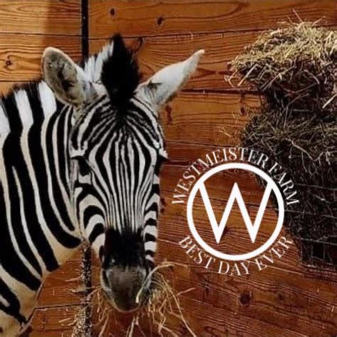 Recap of Recent Head-to-Head Encounters