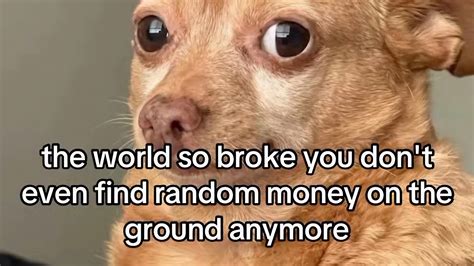 Recent Funny Pics
