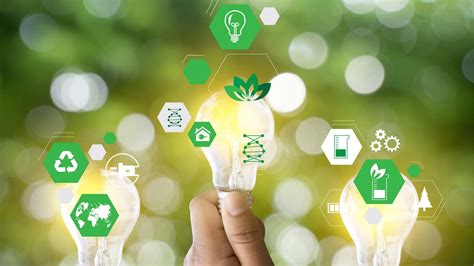 Receptionist Sustainability Promote Eco-Conscious Practices