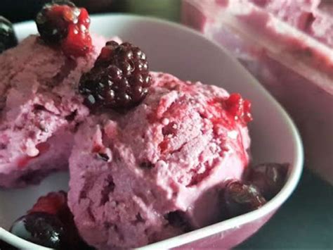 Recettes Glace au Chocolat et aux Fruits Rouges
