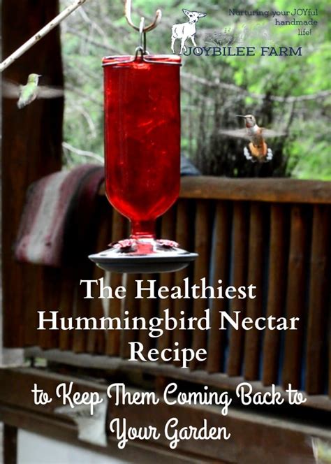 Recipe For Hummingbird Nectar