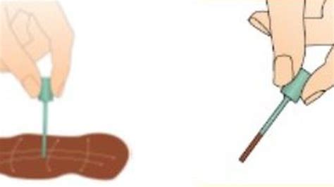 Como recoger una muestra de heces para el Departamento de Salud IT