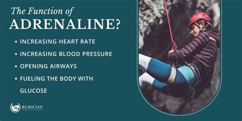 Recognizing Adrenaline Surges