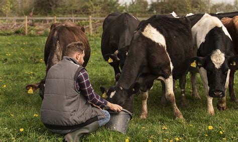 Recognizing Ethical Farming Practices